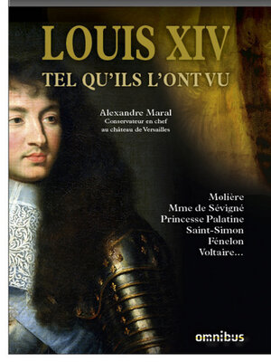 cover image of Louis XIV tel qu'ils l'ont vu